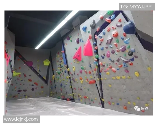 西安攀岩队个人能力分析与表现评估研究报告